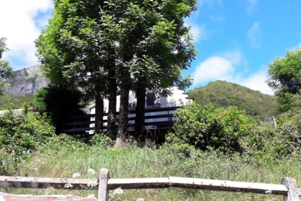 Chalet Oustaou Campan La Mongie Col Du Tourmalet المظهر الخارجي الصورة